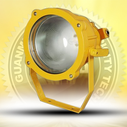 Explosion-proof flood light